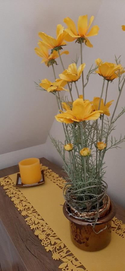 Napko Apartman Sopron Bagian luar foto